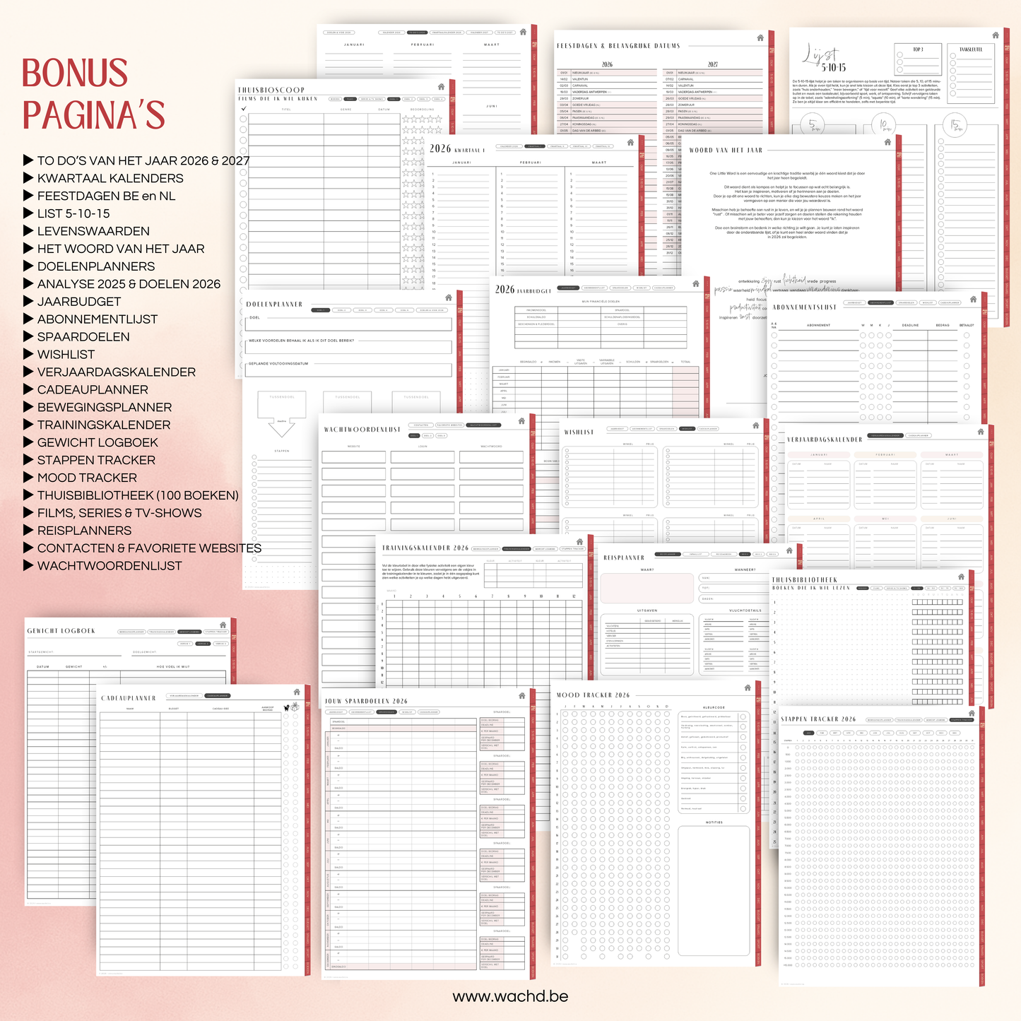 Nederlandse Digitale Planner 2026 | tablet planner | cherry punch