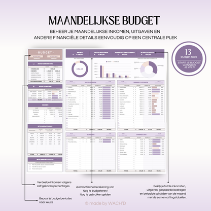 Eenvoudige Jaarlijkse Budgetplanner | Google Sheets | Nederlandse Budgetplanner | Paars & Roze Taupe