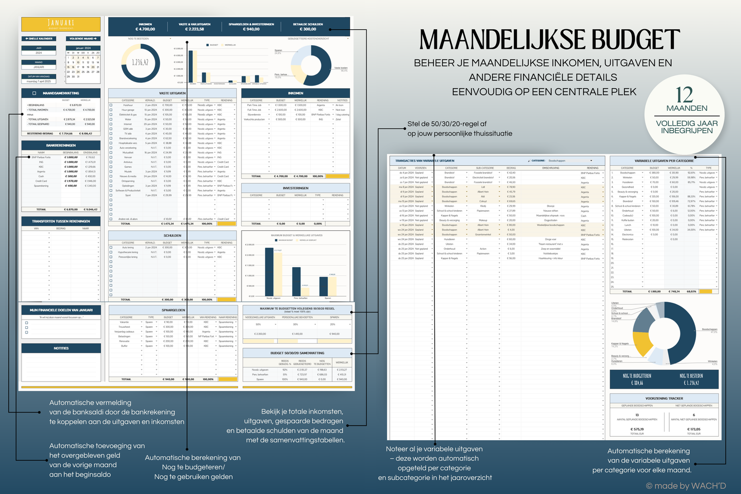 50/30/20 Ultieme Jaarlijkse Budgetplanner | Google Sheets | Nederlandse Budgetplanner | Blauw & Geel