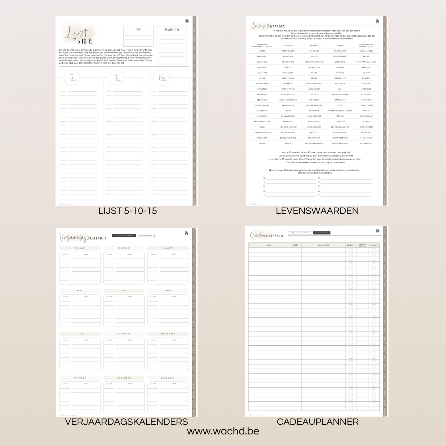 Digitale Planner 24 & 25 (mid-year) | tablet planner