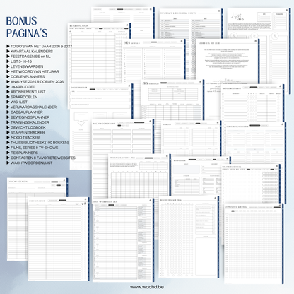 Nederlandse Digitale Planner 2026 | tablet planner | blueberry
