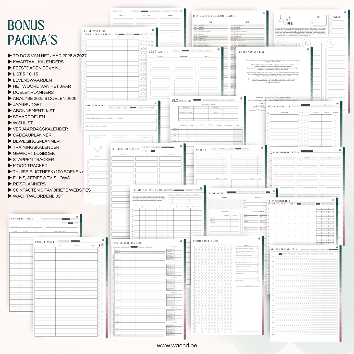 Nederlandse Digitale Planner 2026 | tablet planner | zeegroen & roze