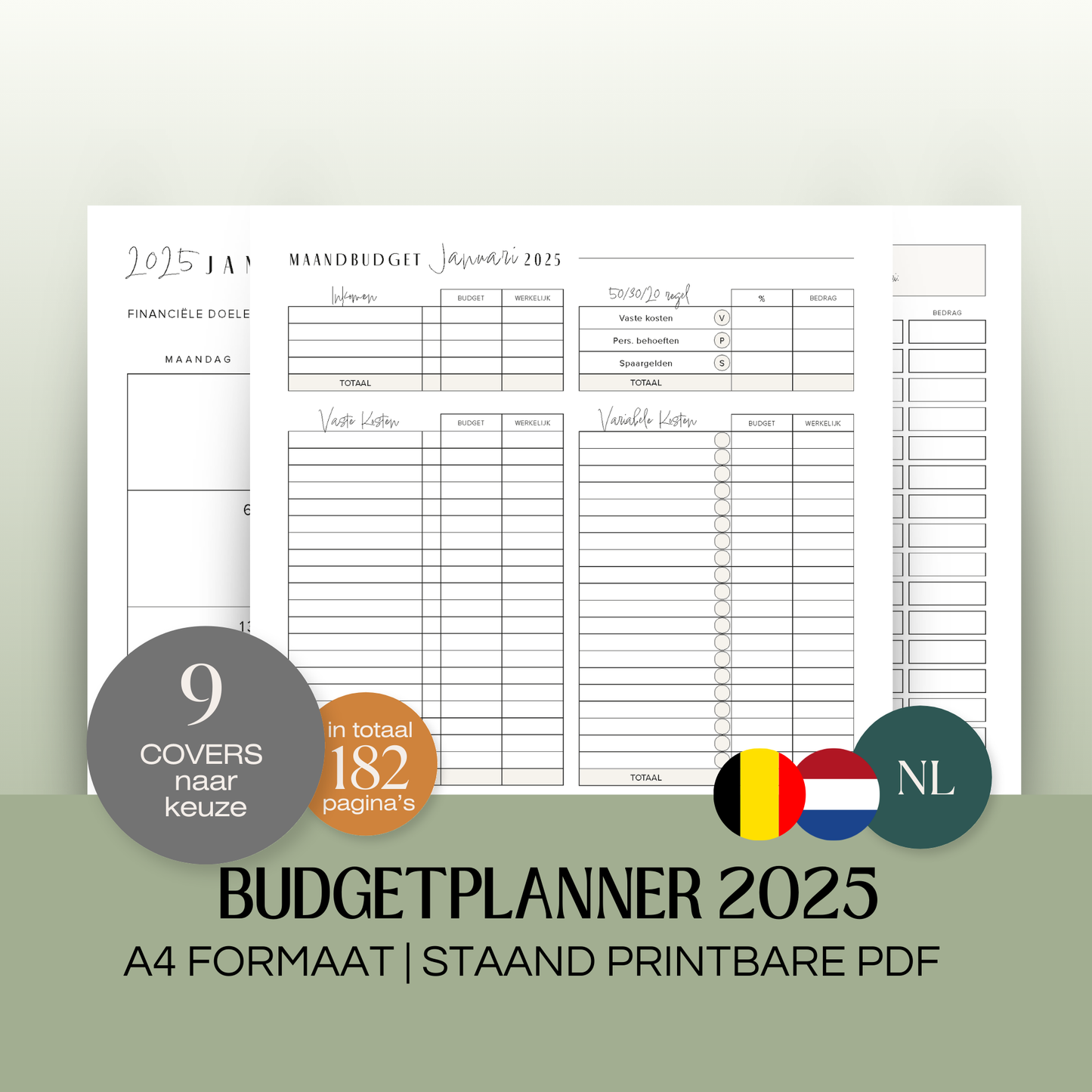 Budget planner 2025 | A4 printbare pdf