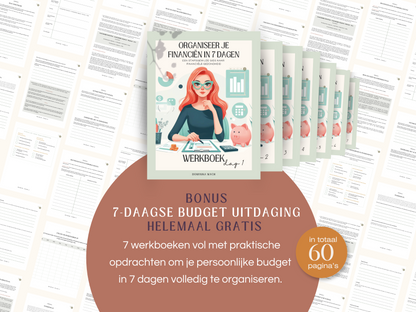 Ultieme Jaarlijkse Budgetplanner | Google Sheets | Nederlandse Budgetplanner | Bruin & Beige