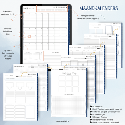 Nederlandse Digitale Planner 2026 | tablet planner | blueberry