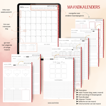 Nederlandse Digitale Planner 2026 | tablet planner | cherry punch
