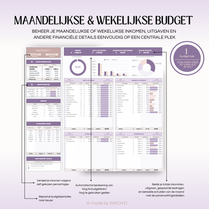 Eenvoudige Budgetplanner (1 tab) | Google Sheets | Paars & Roze Taupe