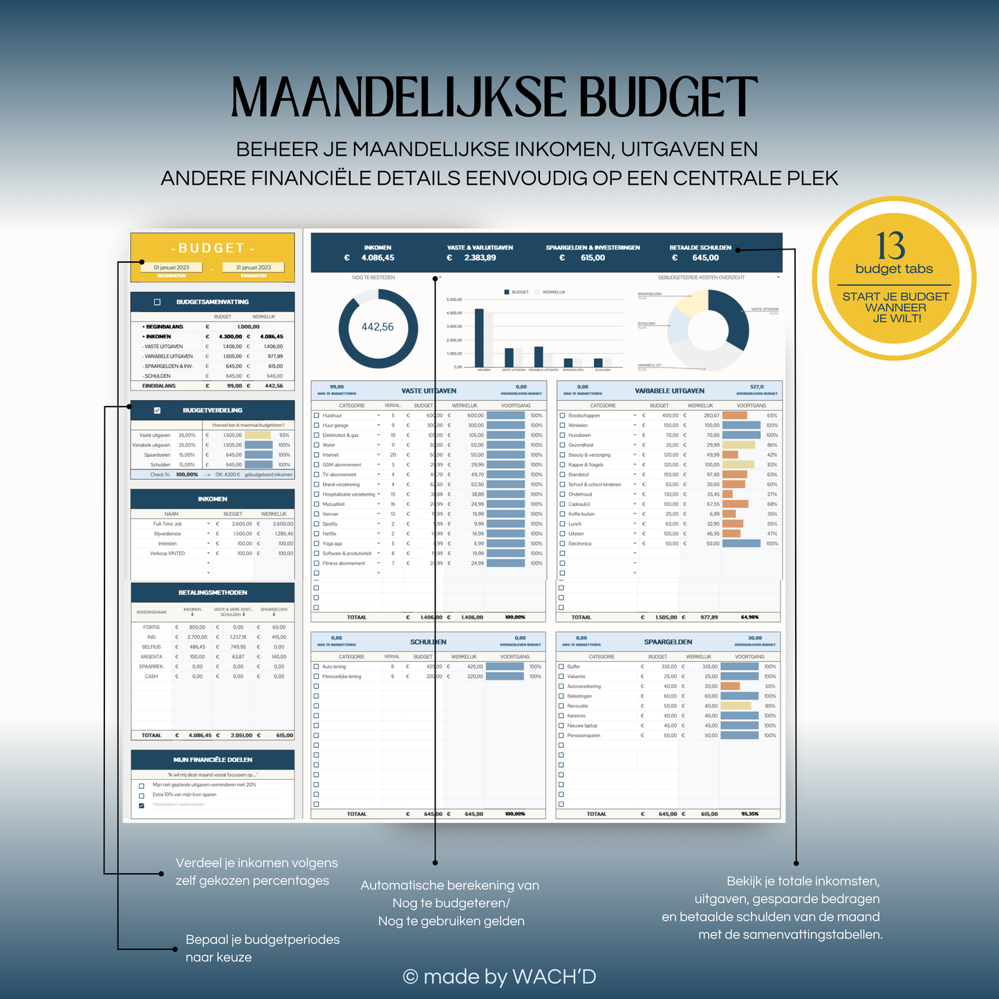 Eenvoudige Jaarlijkse Budgetplanner | Google Sheets | Blauw & Geel