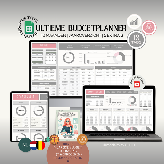 Ultieme Jaarlijkse Budgetplanner | Google Sheets | Grijs & Roze