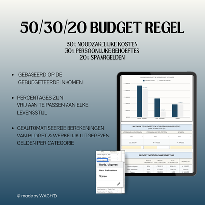 50/30/20 Ultieme Jaarlijkse Budgetplanner | Google Sheets | Blauw & Geel