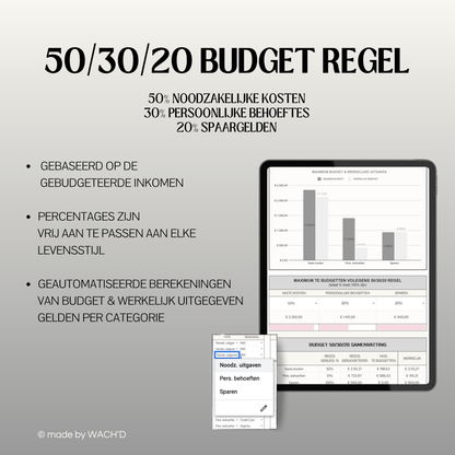 50/30/20 Ultieme Jaarlijkse Budgetplanner | Google Sheets | Grijs & Roze