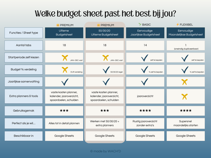 50/30/20 Ultieme Jaarlijkse Budgetplanner | Google Sheets | Nederlandse Budgetplanner | Blauw & Geel