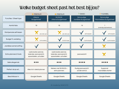 Ultieme Jaarlijkse Budgetplanner | Google Sheets | Nederlandse Budgetplanner | Blauw & Geel